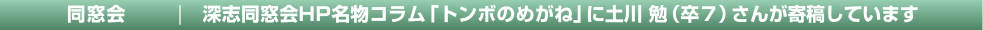 タイトル＆リード