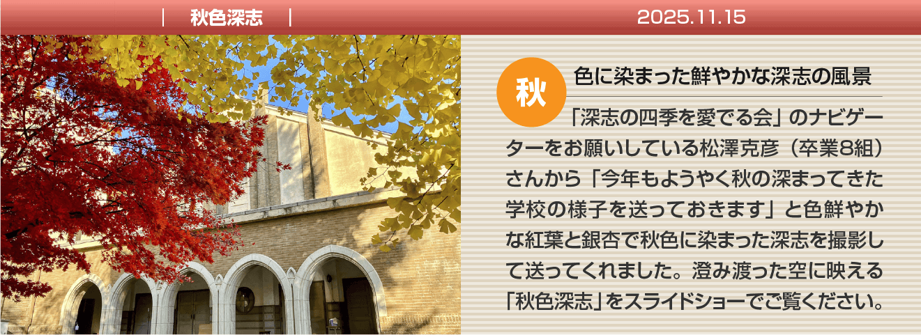 イメージ＆コピー