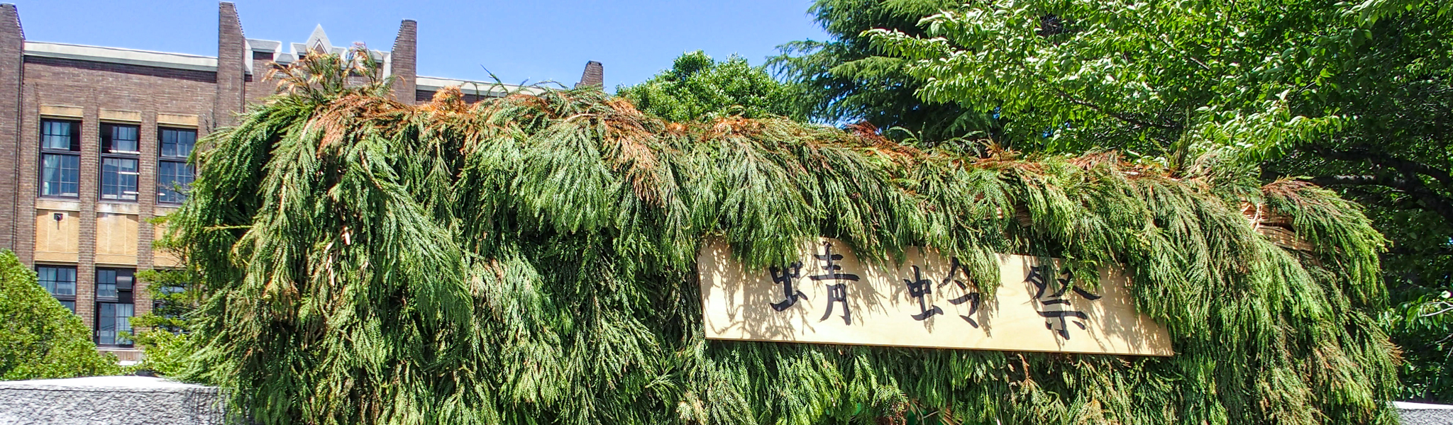 校舎