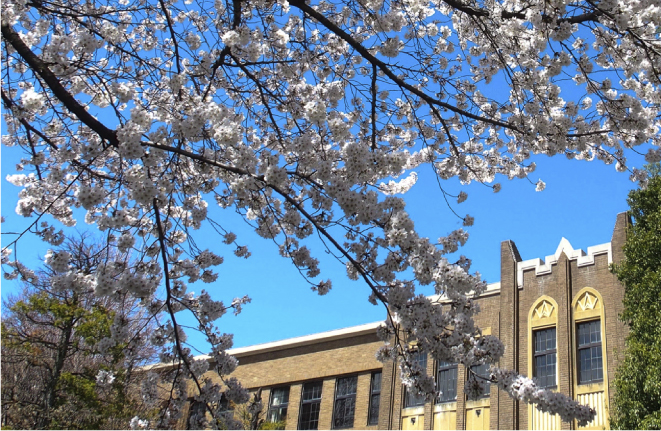 トンボのめがね