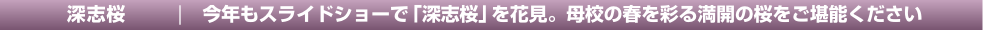 タイトル＆リード