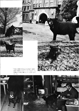 P_13