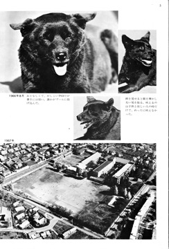 P_05